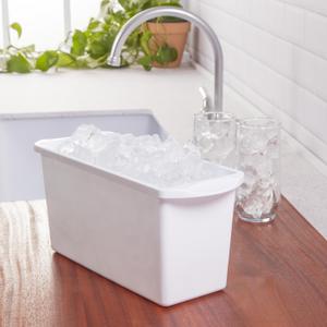 7250 - Ice Cube Bin